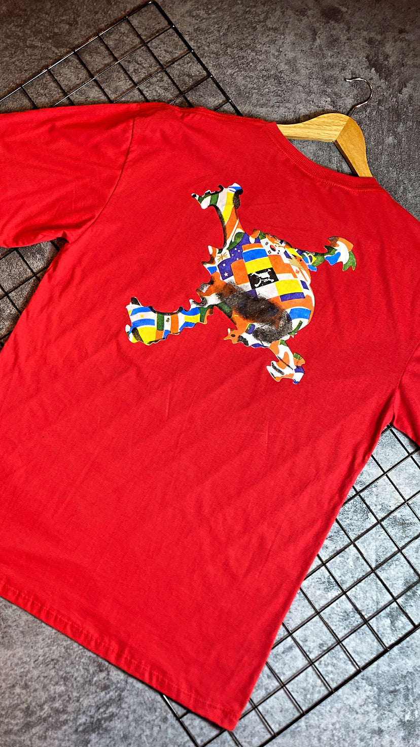 Camiseta Plus size Aoakley-Vermelha (Paises)